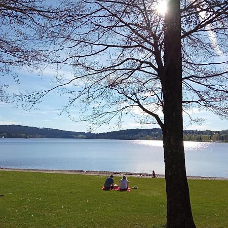 Apartman29 Lipno nad Vltavou Eksteriør billede