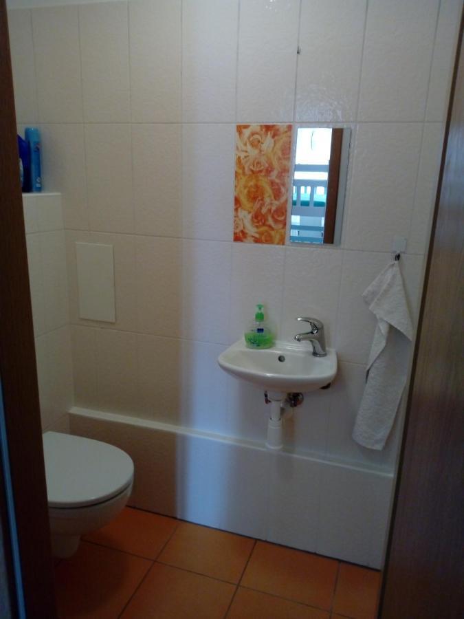 Apartman29 Lipno nad Vltavou Eksteriør billede
