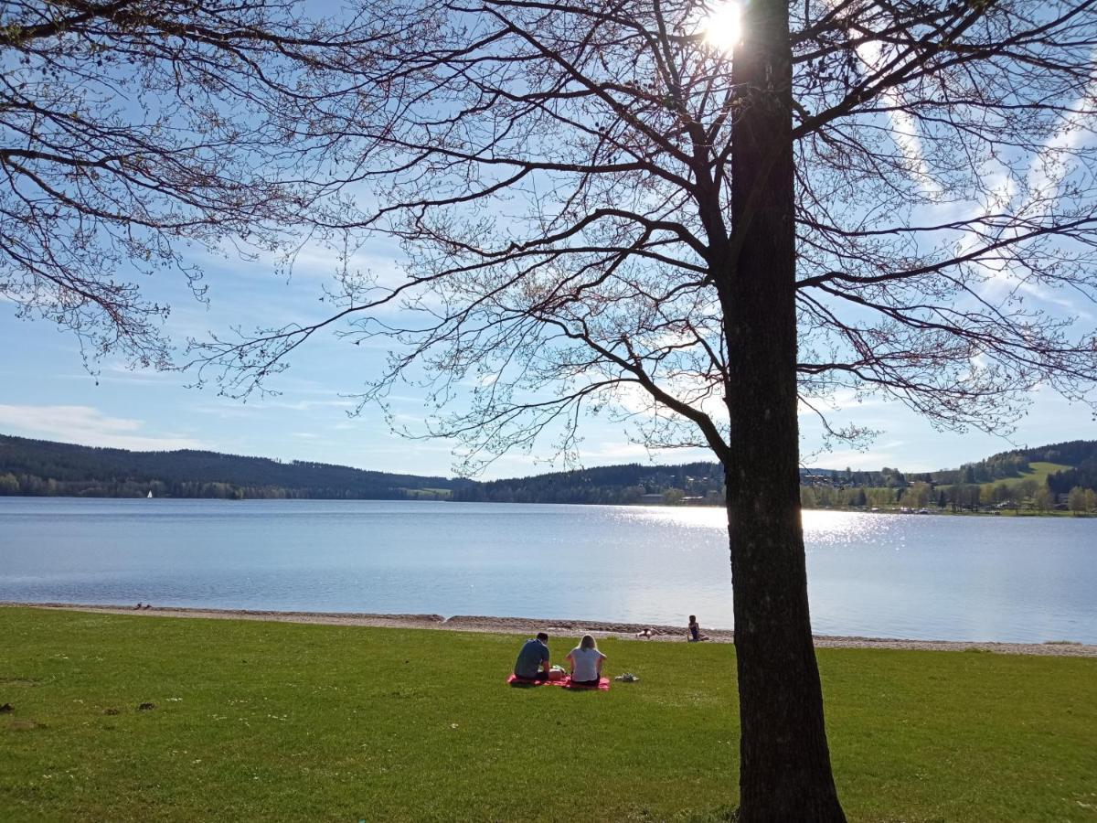 Apartman29 Lipno nad Vltavou Eksteriør billede