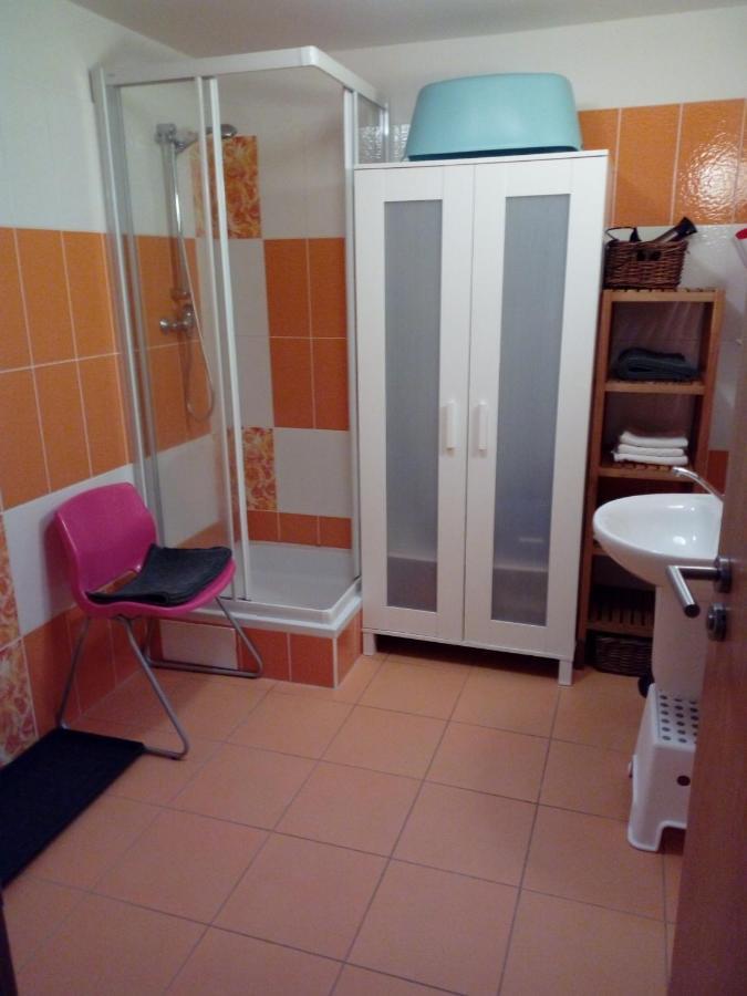 Apartman29 Lipno nad Vltavou Eksteriør billede